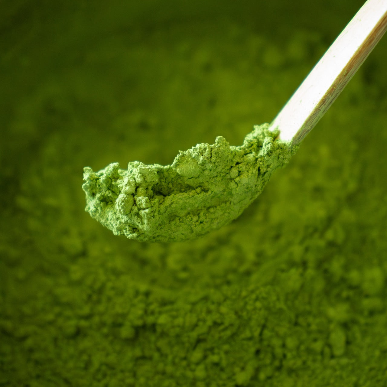 Matcha en Polvo Grado Ceremonial – Primera Cosecha, Uji, Kyoto